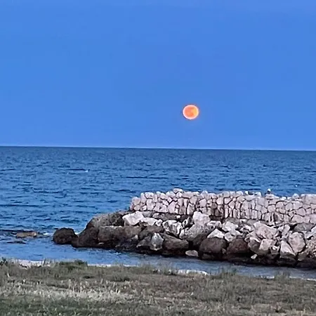 Casa Mariagrazia לה קאלטה